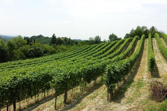 Tour image 5