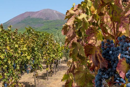 Tour image 13