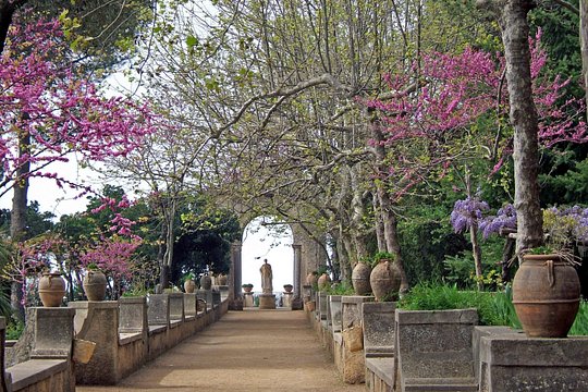 Tour image 10