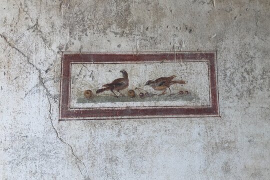 Tour image 6