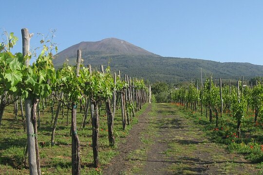 Tour image 3