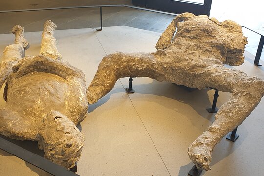 Tour image 11