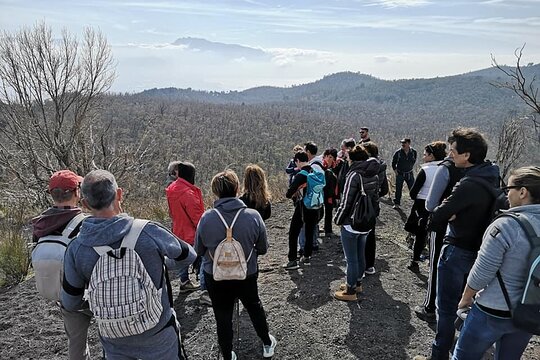 Tour image 2