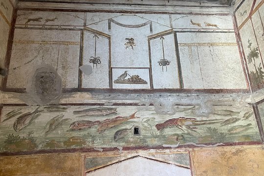 Tour image 10