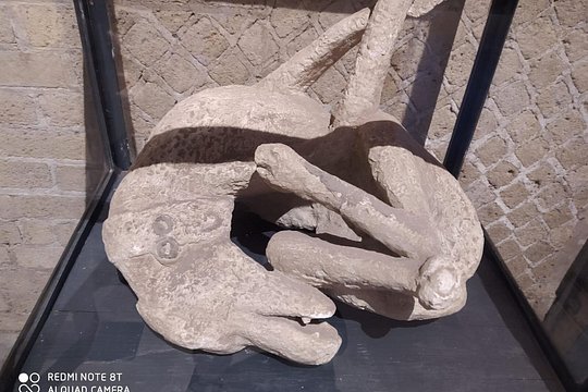 Tour image 4